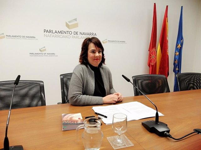 El Parlamento de Navarra concluye su IX legislatura con 106 leyes aprobadas y má