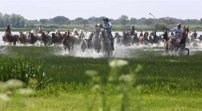 Huelva.- Turismo.- La III edición de Doñana Natural Life inicia sus actividades 