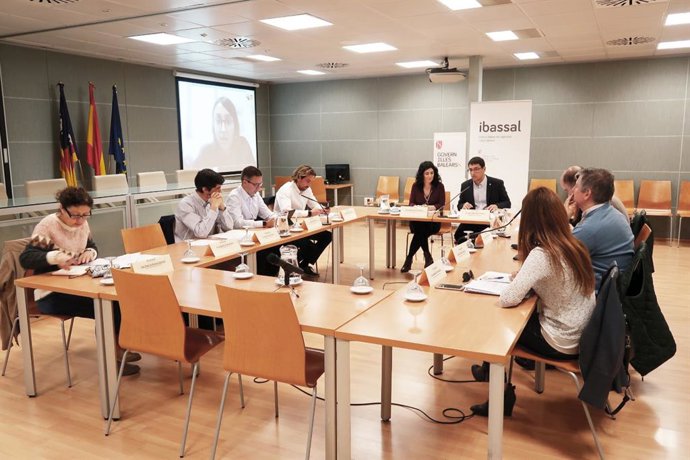 Aprobado el plan de actuación del Ibassal para 2019 que prevé poner en marcha la