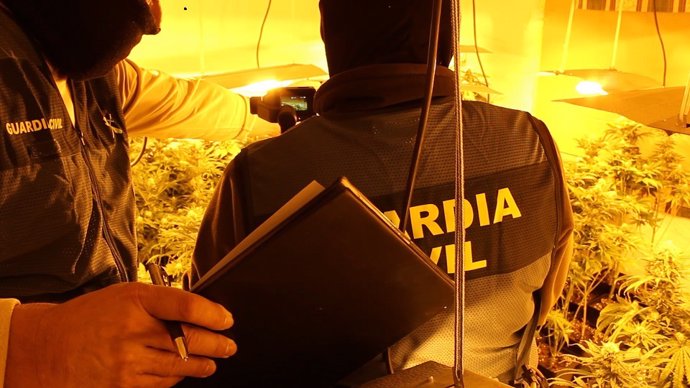 Granada.- Sucesos.- Siete investigados por cultivo de droga en una nueva operaci