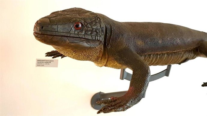 [Grupocanarias] Nota De Prensa Y Fotografías: Museos Nueva Sección