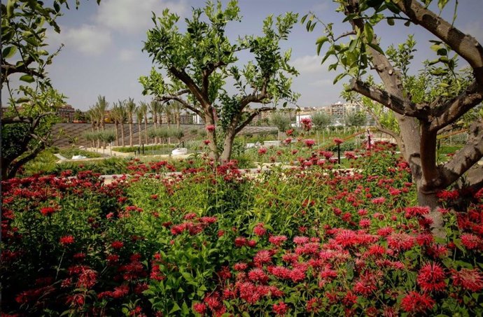 Parque Central de Valncia