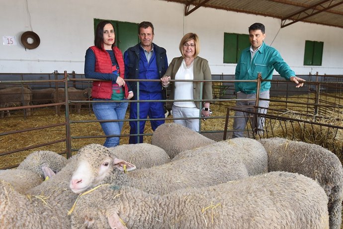 [Grupoextremadura] Nota Adjudicación Ganado Merino Precoz