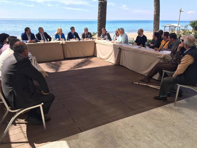 Málaga.- El Ayuntamiento de Marbella propone al Gobierno central financiar las o