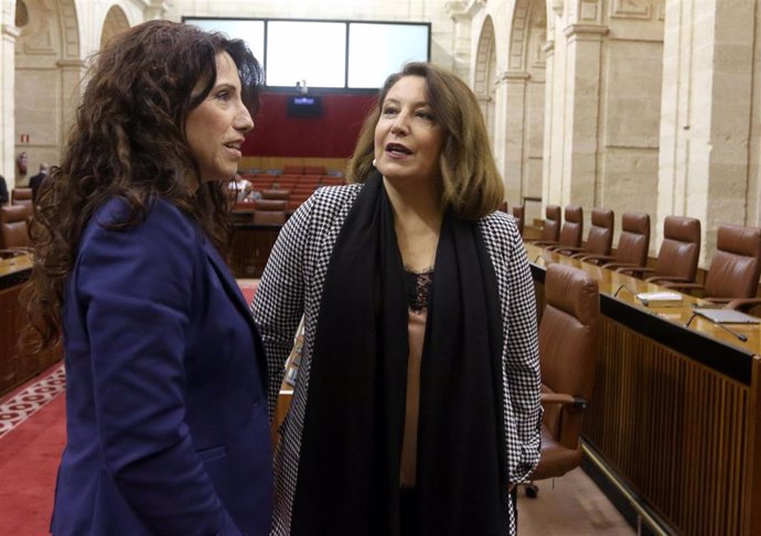 Primera jornada del Pleno del Parlamento andaluz