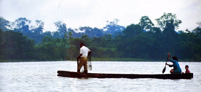 Los árboles en la Amazonía revelan perturbaciones humanas pre-coloniales
