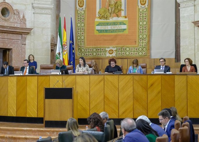 VÍDEO: Presidenta del Parlamento andaluz abronca a diputados por "faltarse el re