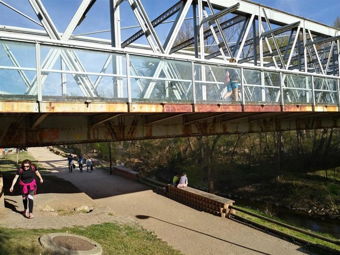 UPL advierte del "estado de corrosión" del Puente de Hierro de Zamora