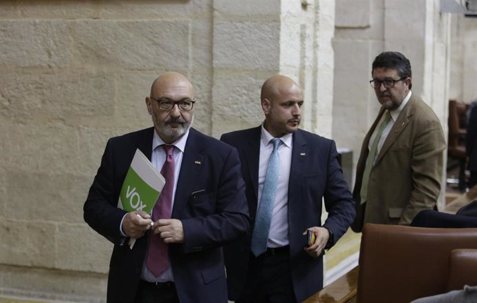 Vox propone encargar la auditoría de la Junta andaluza a "expertos en corrupción