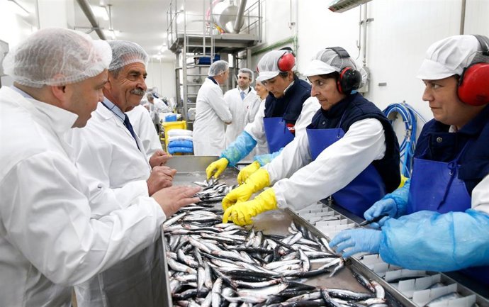 Froxá mejora su producción con nuevas líneas de cefalópodos y bocarte y una plan