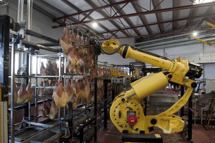 La compañía leridana Bonrea Corporación logra 64 millones de beneficio e invier