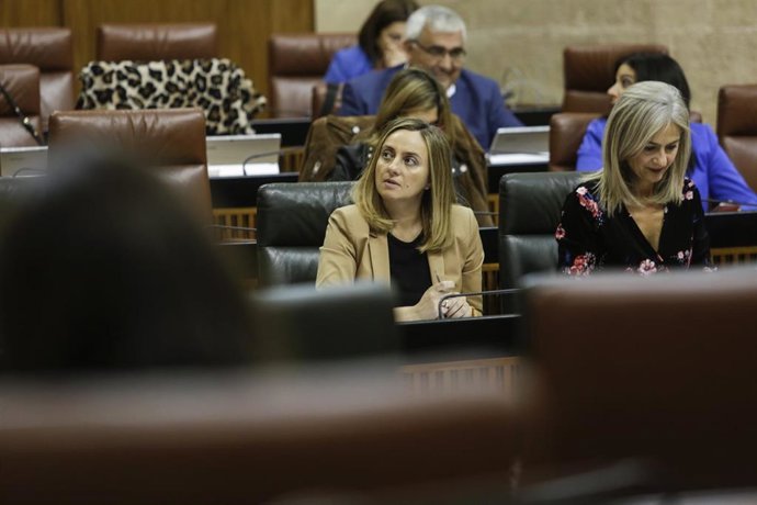  Segunda jornada del Pleno del Parlamento andaluz  