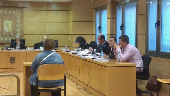 Trib.- Madre de acusado de asesinar a su progenitor tras atropellarlo: "Llamó ll