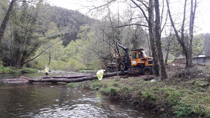 La CHC inicia la limpieza de los cauces del río Esva en el concejo de Valdés