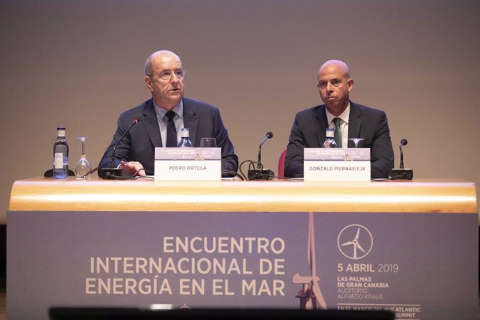 Canarias pedirá al Gobierno central incluir infraestructuras para evacuar la ene