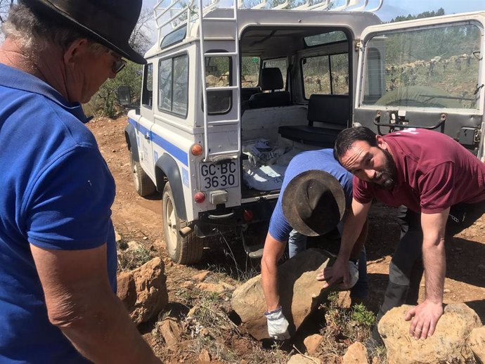 Encuentran un petroglifo benahoarita en una zona de viñedo en Tijarafe (La Palma