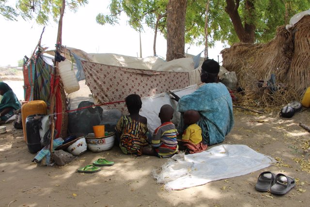 Nigeria.- MSF alerta de la situación desesperada de 30.000 desplazados en Mongun