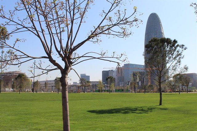 AMP.- El Ayuntamiento de Barcelona abre más de 20.000 metros cuadrados del nuevo parque de Glòries