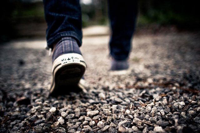 124 Menors Migrados Solos A Catalunya Tornen Al seu País D'Origen En Tres Anys