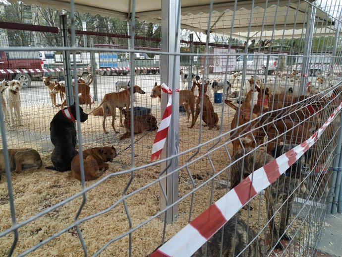 Zaragoza.- El recinto ferial de Calatayud, al 100 por cien con la VII Feria de P