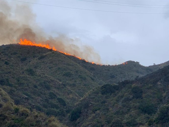 Almería.- Sucesos.- El Infoca y los Bomberos del Levante extinguen el incendio d
