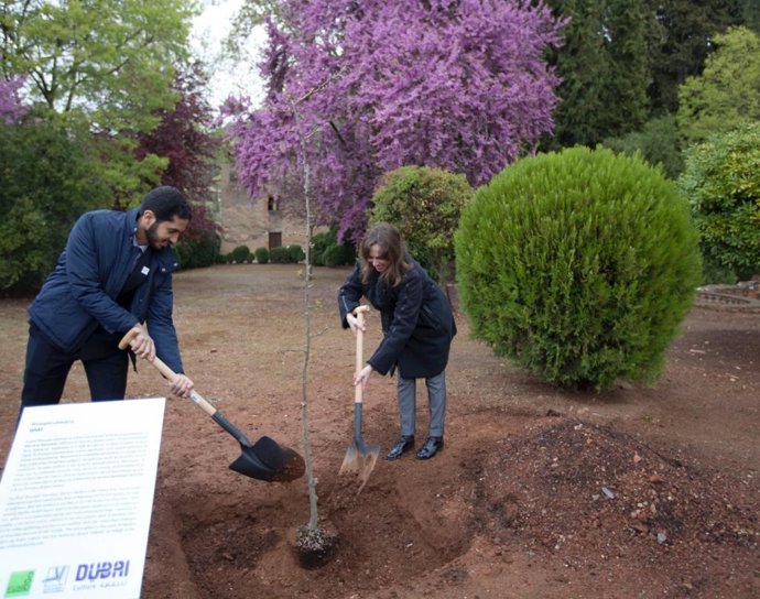 Granada.- Plantan un árbol autóctono de Dubái en la Alhambra por el Año de la To
