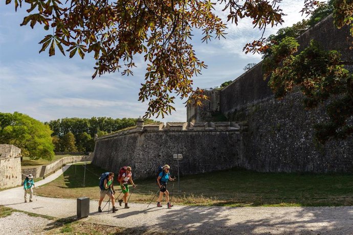 Un grupo de peregrinos de Camino de Santiago a su paso por Pamplona