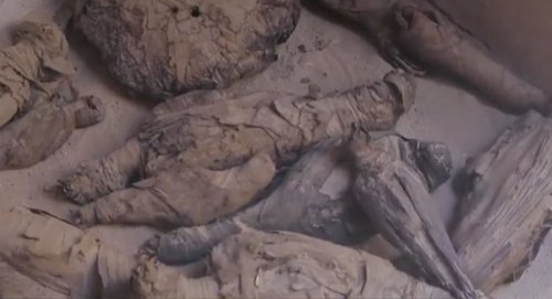 Decenas de halcones y gatos momificados en una antigua tumba egipcia