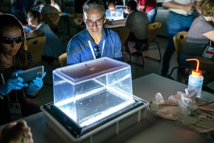 Convocatoria de becas para el CERN