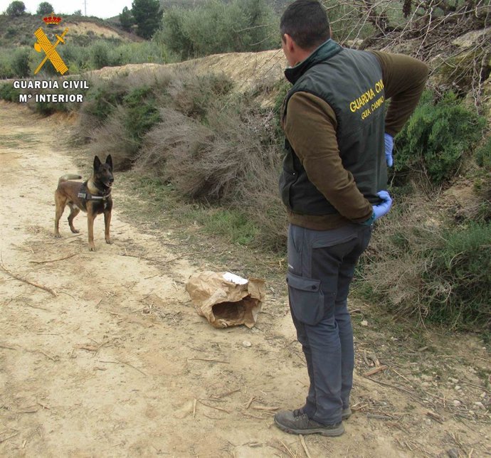 Sucesos.- La Guardia Civil investiga a una persona en Fraga por causar la muerte