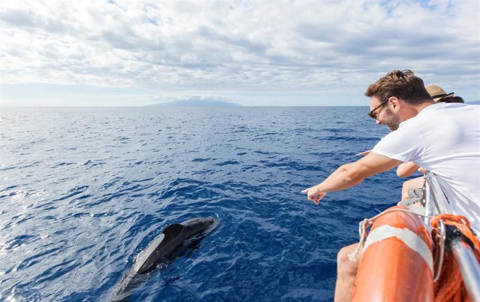 [Grupocanarias] Nota De Prensa Y Fotografías: Cetáceos Sostenibilidad