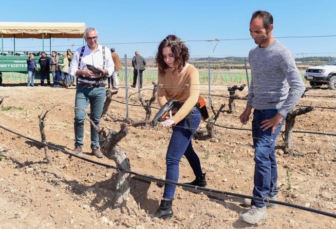 Díaz Ayuso apostará de manera "decidida" por el vino de Madrid para alcanzar las