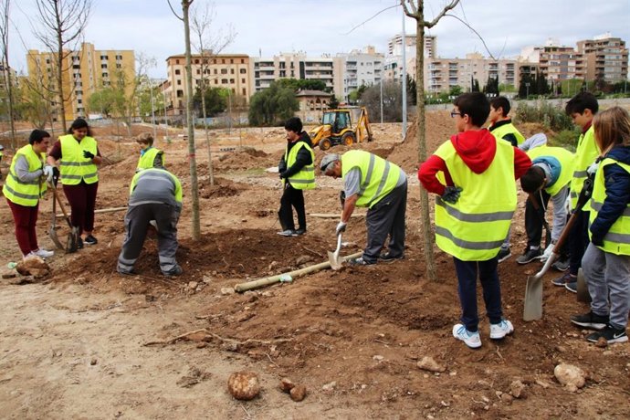 Alumnos de secundaria plantan los primeros árboles del bosque urbano del canódro