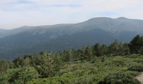 Cooperación y Desarrollo