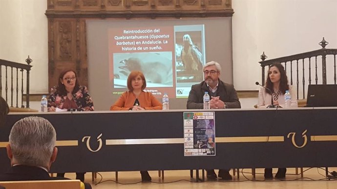 Jaén.- Arrancan en Úbeda las X Jornadas de Ciencia para Tod@s con previsión de r