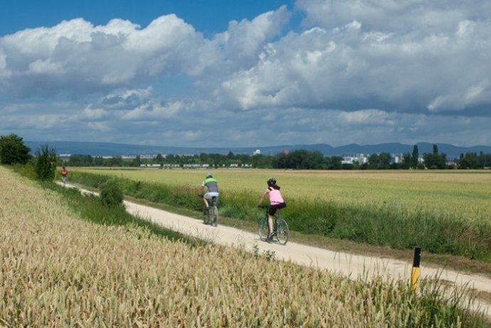 Diputación de Álava pone en valor la Vía Verde del Vasco-Navarro ante expertos e