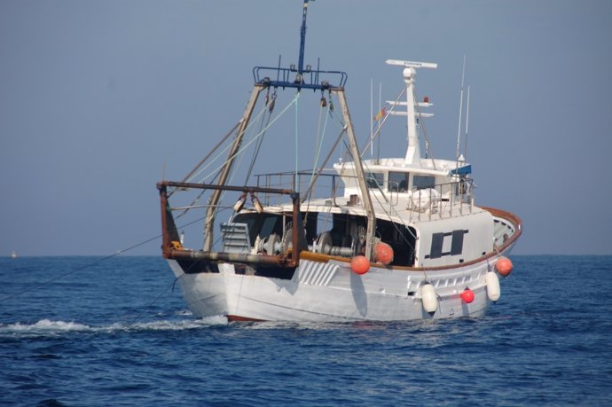 WWF y Oceana critican el nuevo plan pesquero para el Mediterráneo que supone "un