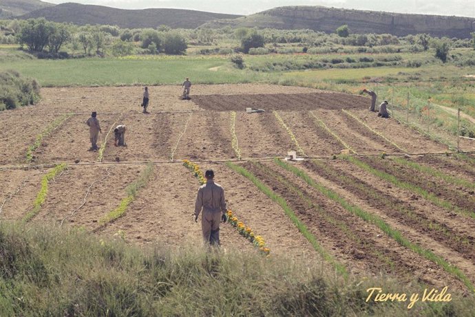 El INAEM aporta formación al renacer conservero del municipio turolense de Alacó