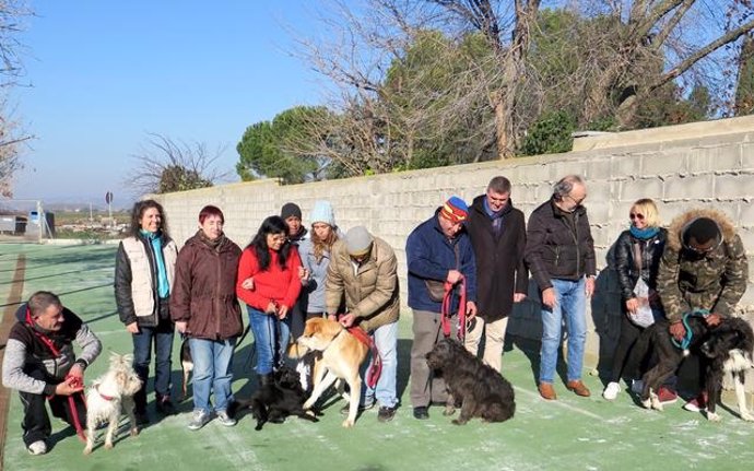 El Comú de Lleida xifra en 25% els animals que moren en la gossera municipal i