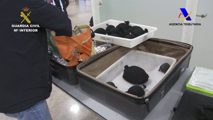 Successos.- Intervingudes 76 tortugues protegides en un equipatge en l'Aeroport 