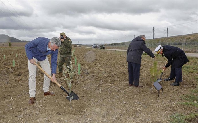 Fundación Iberdrola reforesta el Campo de Maniobras y de Tiro militar Renedo-Cab