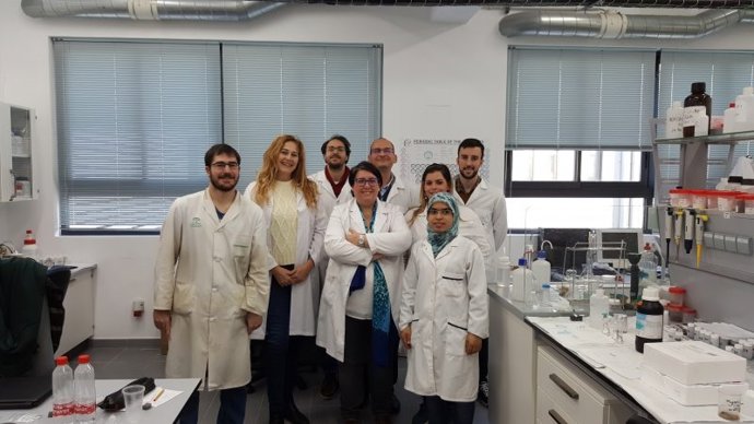 Cádiz.- Científicos de UCA participan en un método de biosensor para medir índices de antioxidantes en cervezas y vinos