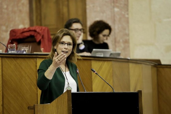 Cs saluda la gratuidad de los libros de Primaria porque "la bandera de la igualdad hay que dotarla presupuestariamente"