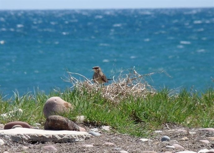 Turismo.- Los objetivos de la Comisión Interpartamental se centran en la competitividad y en la singularidad