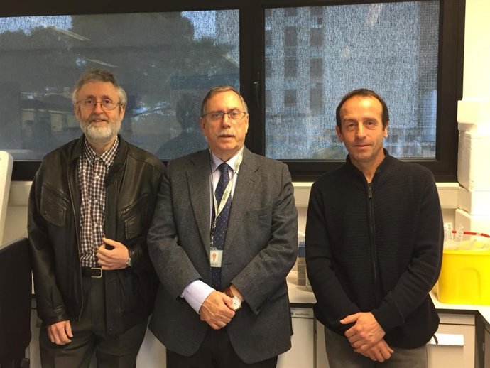 Córdoba.- Investigadores describen un "rejuvenecimiento" de células madre por una sustancia formadora de hueso