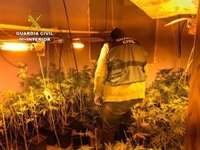 Dos detenidos e intervenidas 400 plantas cultivadas en bloques de viviendas de Roquetas
