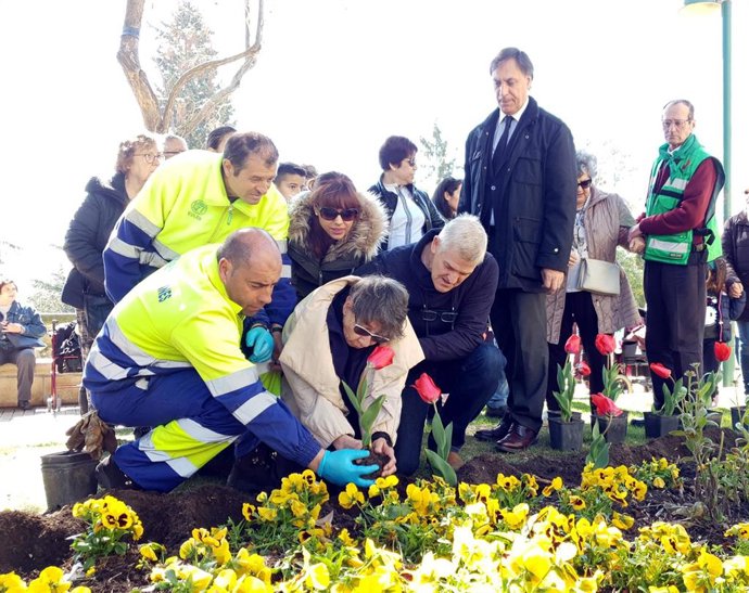 Parkinson Salamanca planta tulipanes como símbolo de sensibilización y búsqueda de avances ante la enfermedad