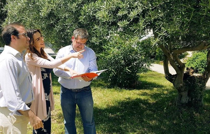 Málaga.-Cs en Diputación propone reconvertir los jardines de La Noria en un entorno de esparcimiento abierto todo el año