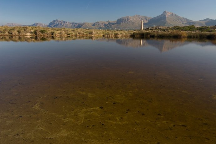 El GOB aplaudeix l'ampliació del Parc de Llevant per recorda que és el tercer inici de tramitació del nou pla