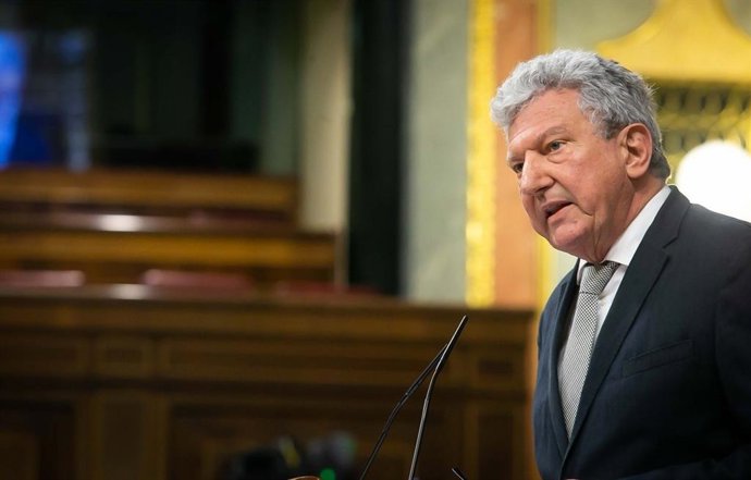 El diputado de Nueva Canarias Pedro Quevedo